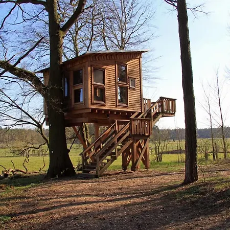 Baumhaushotel Uckermark - Waldgefluster *
